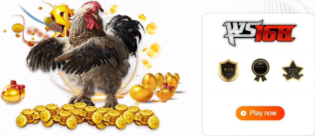 Vào AX88 để chơi đá gà, đặt cược Meron, Wala, BDD và FTD